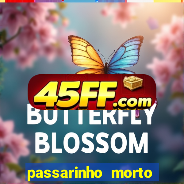 passarinho morto significado espiritual